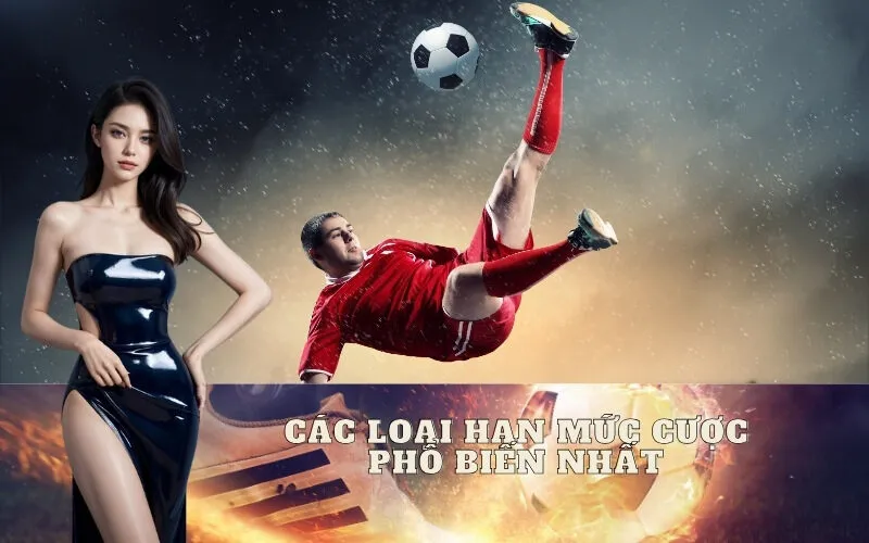 Các Loại Hạn Mức Cược Phổ Biến Nhất Mà Bạn Cần Biết