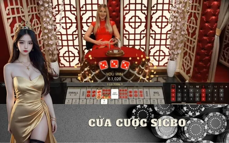 Các cửa cược Sicbo phổ biến và tỷ lệ trả thưởng