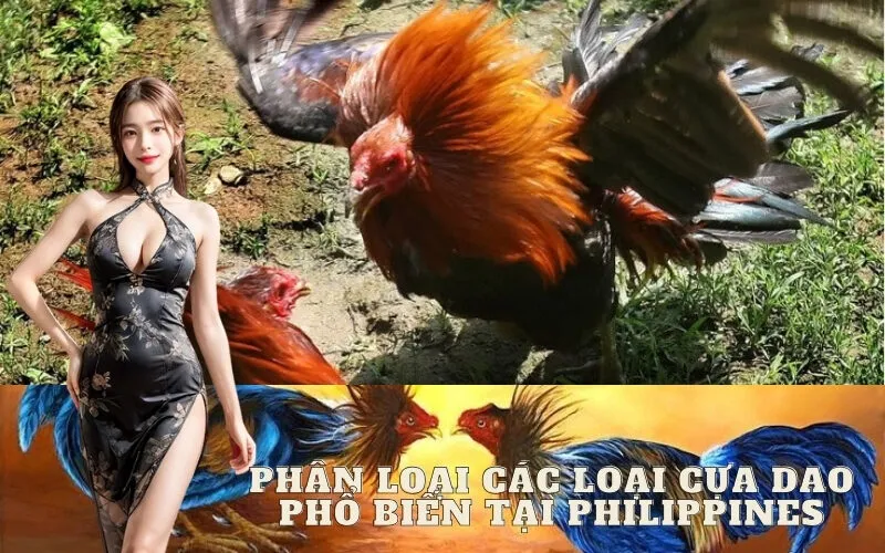 Phân Loại Các Loại Cựa Dao Phổ Biến Tại Philippines