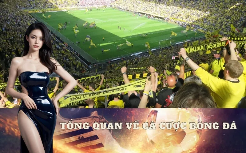 Tổng quan về cá cược bóng đá và các thuật ngữ cốt lõi