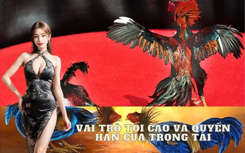 Vai Trò Tối Cao và Quyền Hạn Của Trọng Tài